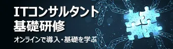 【ITコンサルタント基礎研修】体系的習得プログラム